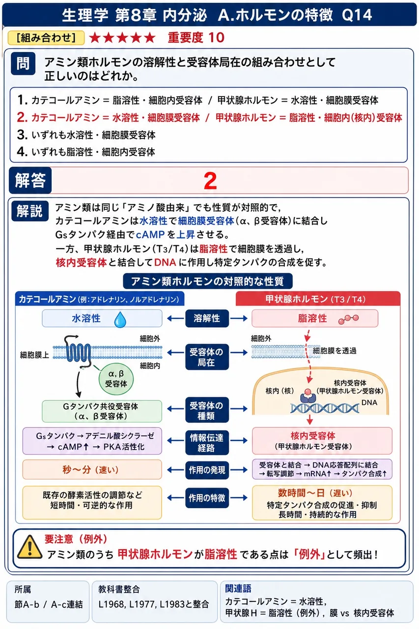 アミン類ホルモンの溶解性と受容体局在の組み合わせとして正しいのはどれか。 解説図