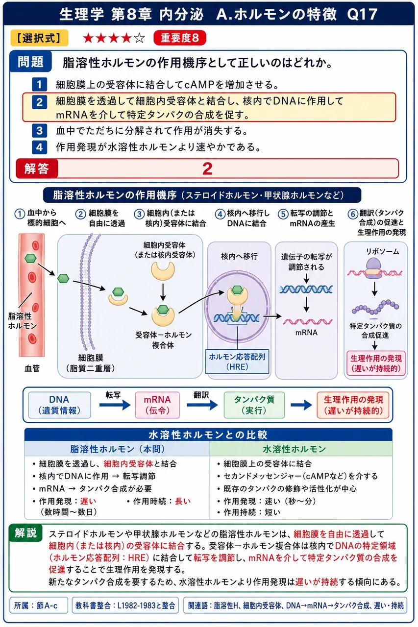 脂溶性ホルモンの作用機序として正しいのはどれか。 解説図