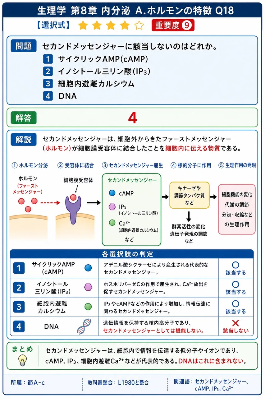 セカンドメッセンジャーに該当しないのはどれか。 解説図