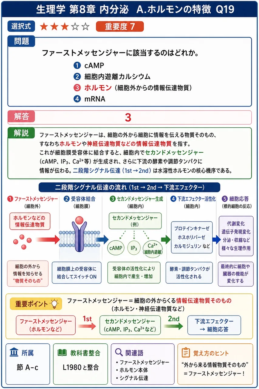 ファーストメッセンジャーに該当するのはどれか。 解説図