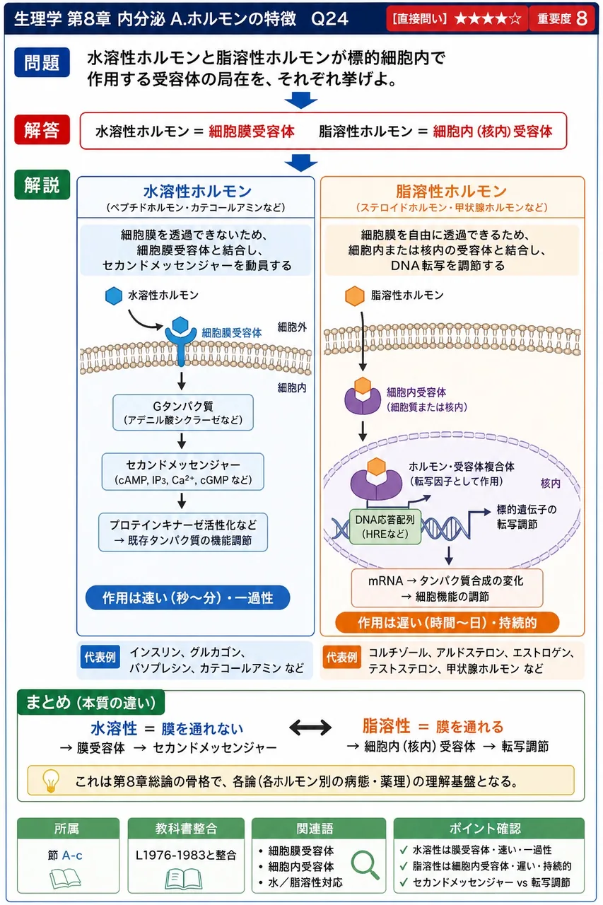 水溶性ホルモンと脂溶性ホルモンが標的細胞内で作用する受容体の局在を、それぞれ挙げよ。 解説図