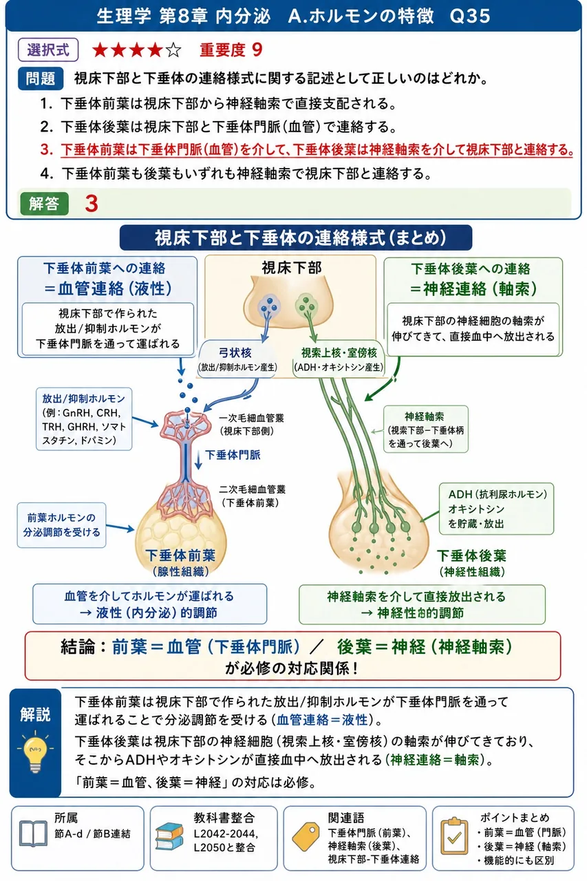 視床下部と下垂体の連絡様式に関する記述として正しいのはどれか。 解説図