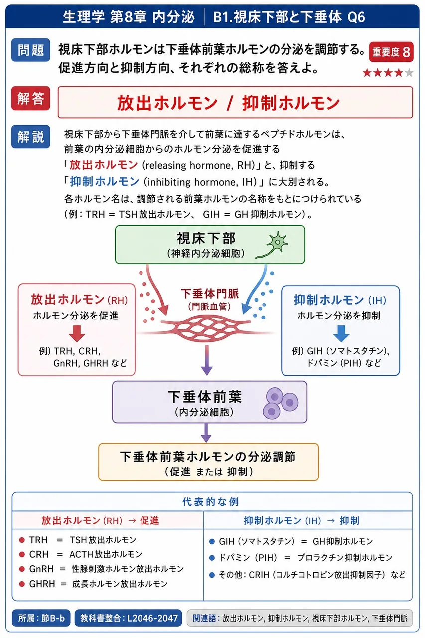 視床下部ホルモンは下垂体前葉ホルモンの分泌を調節する。促進方向と抑制方向、それぞれの総称を答えよ。 解説図