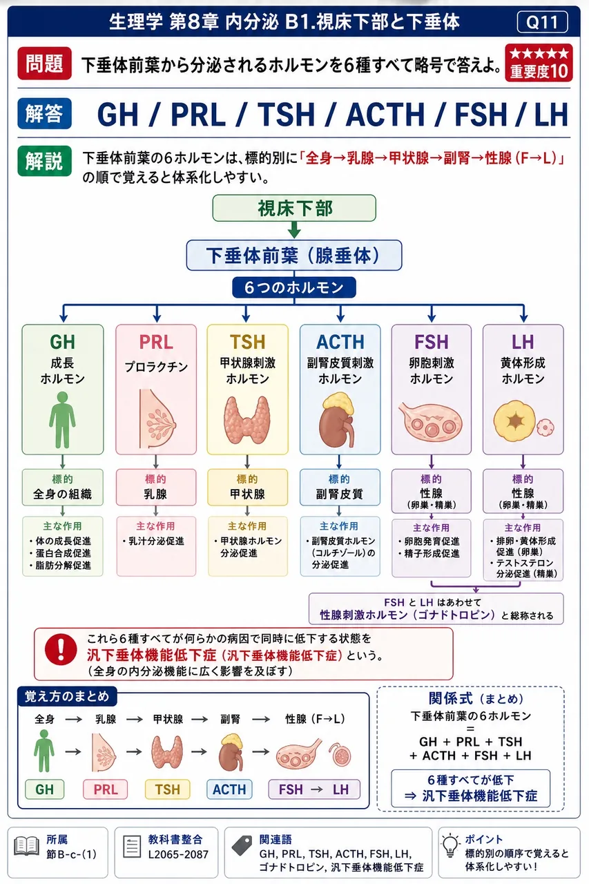 下垂体前葉から分泌されるホルモンを6種すべて略号で答えよ。 解説図