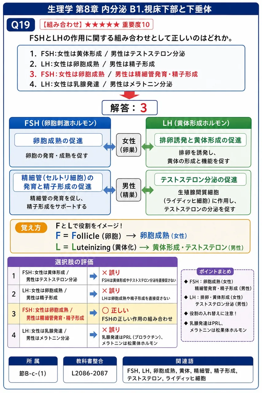 FSHとLHの作用に関する組み合わせとして正しいのはどれか。 解説図