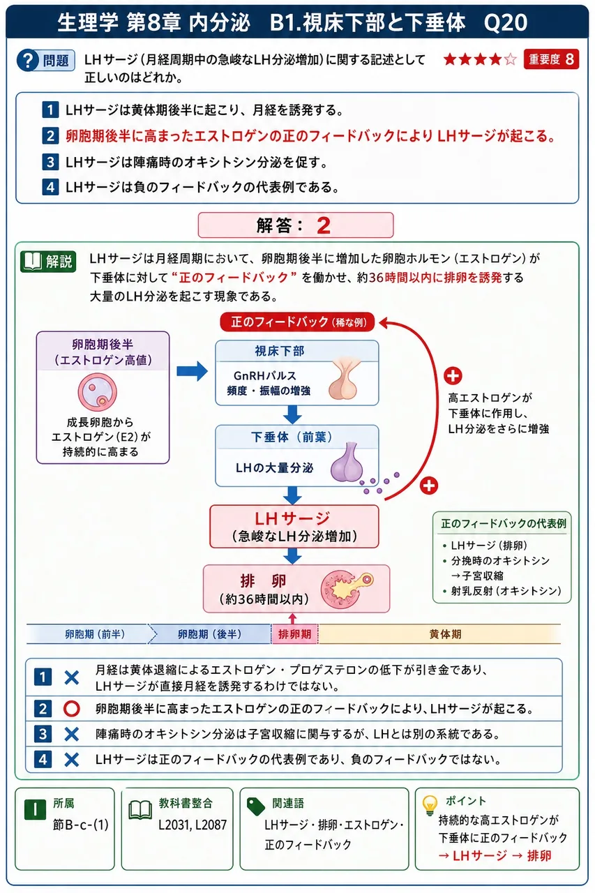 LHサージ(月経周期中の急峻なLH分泌増加)に関する記述として正しいのはどれか。 解説図