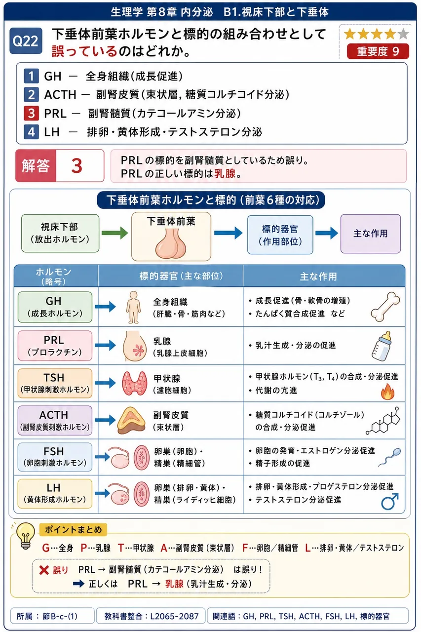 下垂体前葉ホルモンと標的の組み合わせとして誤っているのはどれか。 解説図