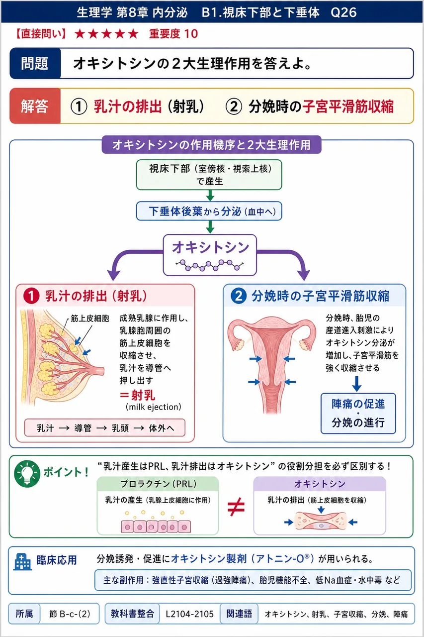 オキシトシンの2大生理作用を答えよ。 解説図