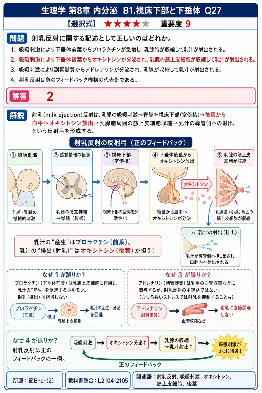 射乳反射に関する記述として正しいのはどれか。 解説図