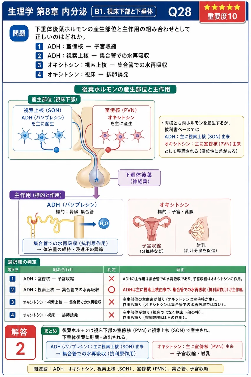 下垂体後葉ホルモンの産生部位と主作用の組み合わせとして正しいのはどれか。 解説図