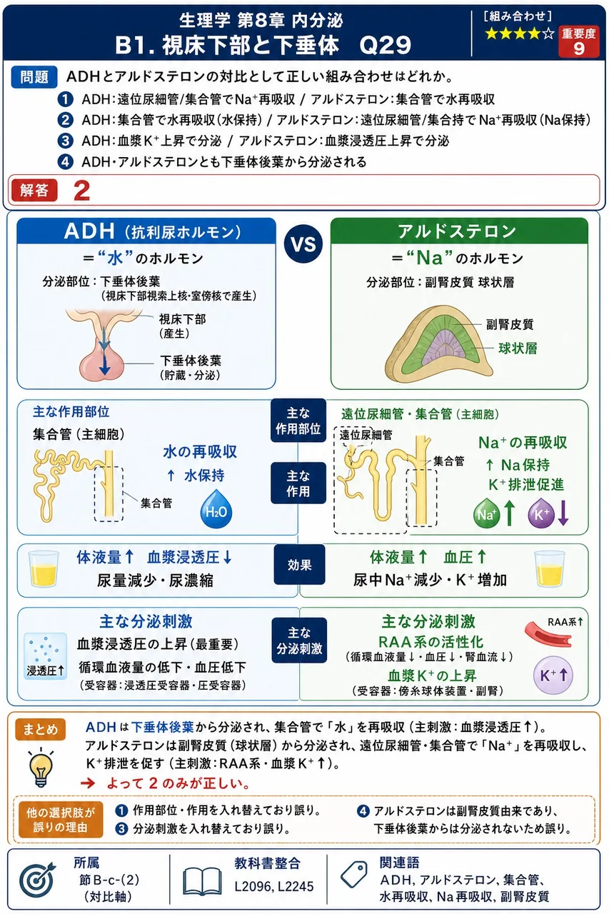 ADHとアルドステロンの対比として正しい組み合わせはどれか。 解説図