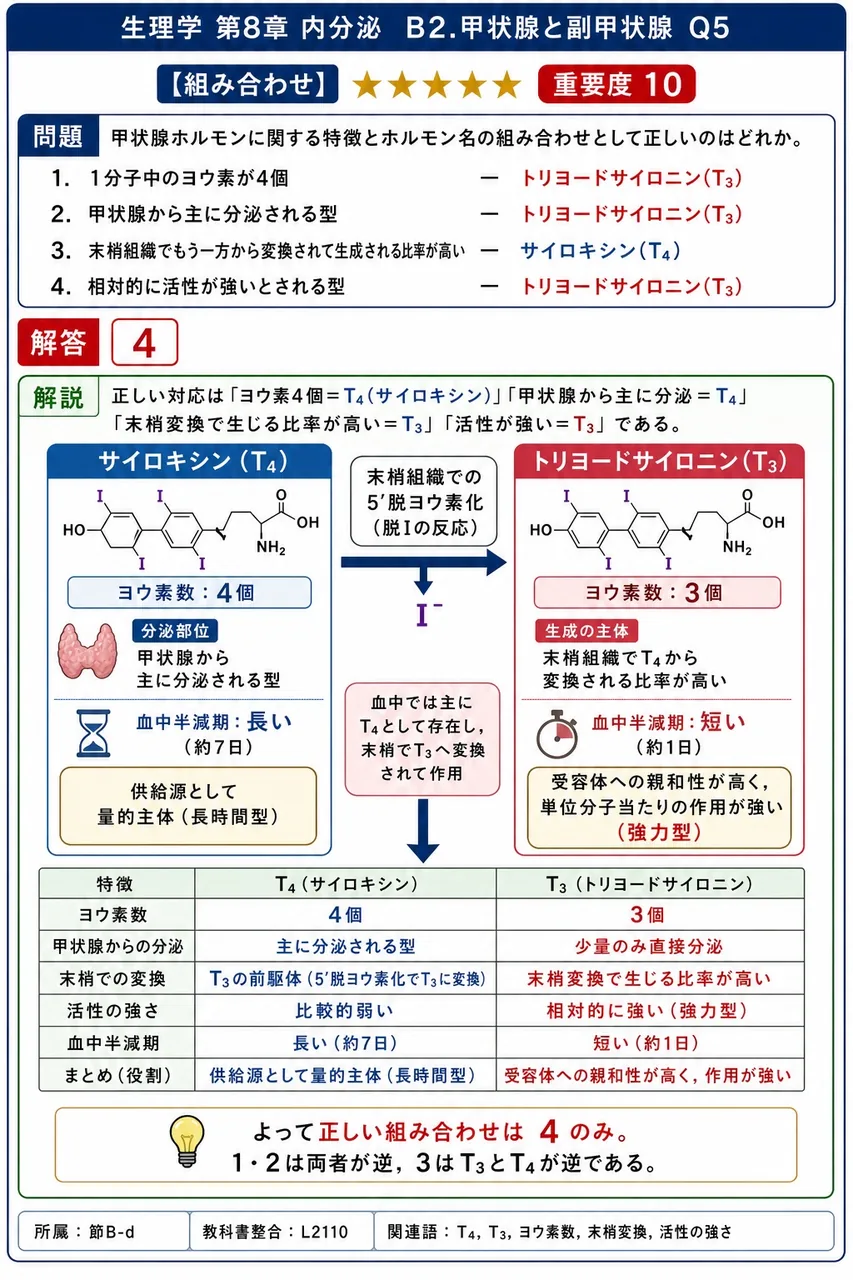 甲状腺ホルモンに関する特徴とホルモン名の組み合わせとして正しいのはどれか。 解説図