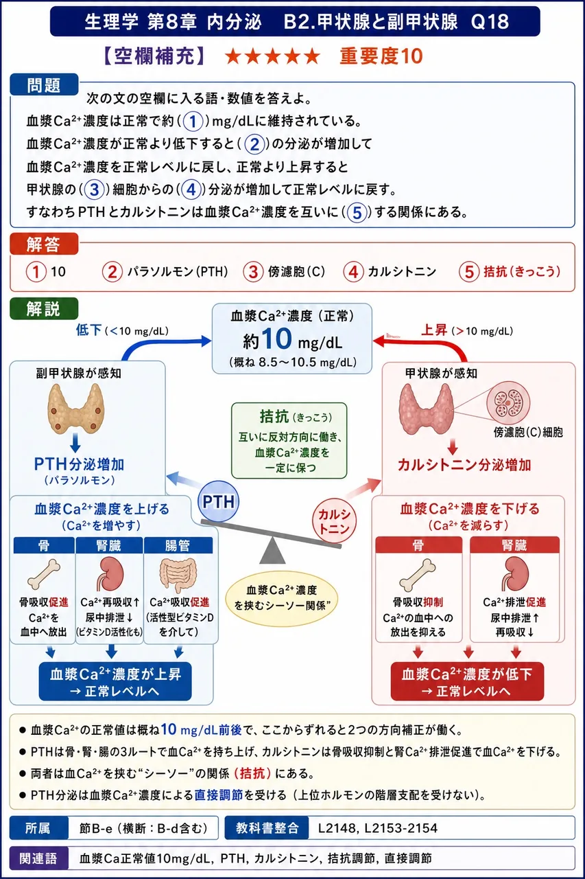 次の文の空欄に入る語・数値を答えよ。 血漿Ca²⁺濃度は正常で約(①)mg/dLに維持されている。血漿Ca²⁺濃度が正常より低下すると(②)の分泌が増加して血漿Ca²⁺濃度を正常レベルに戻し、正常より上昇すると甲状腺の(③)細胞からの(④)分泌が増加して正常レベルに戻す。すなわちPTHとカルシトニンは血漿Ca²⁺濃度を互いに(⑤)する関係にある。 解説図