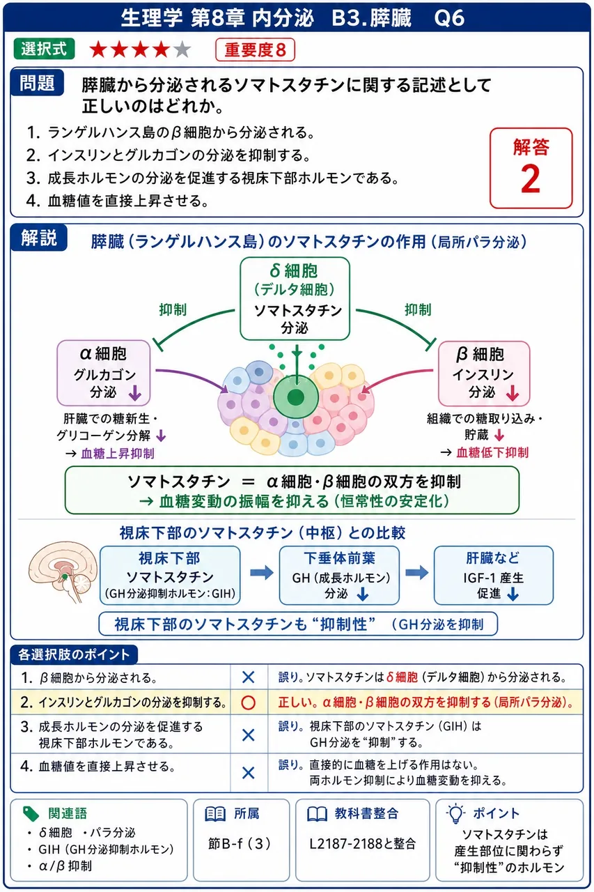 膵臓から分泌されるソマトスタチンに関する記述として正しいのはどれか。 解説図