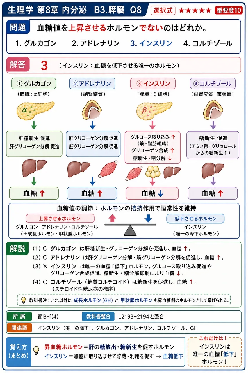血糖値を上昇させるホルモンでないのはどれか。 解説図