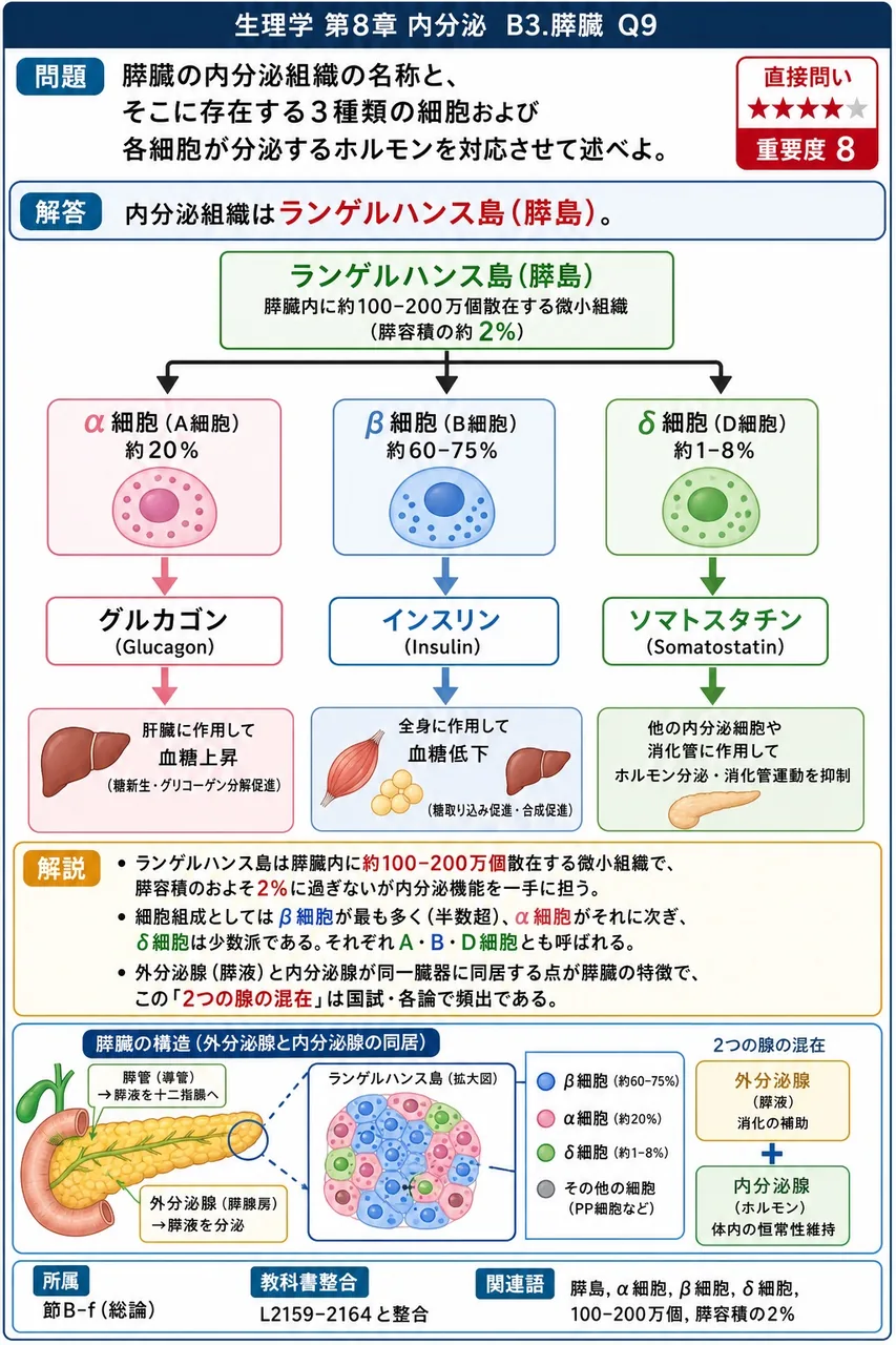 膵臓の内分泌組織の名称と、そこに存在する3種類の細胞および各細胞が分泌するホルモンを対応させて述べよ。 解説図