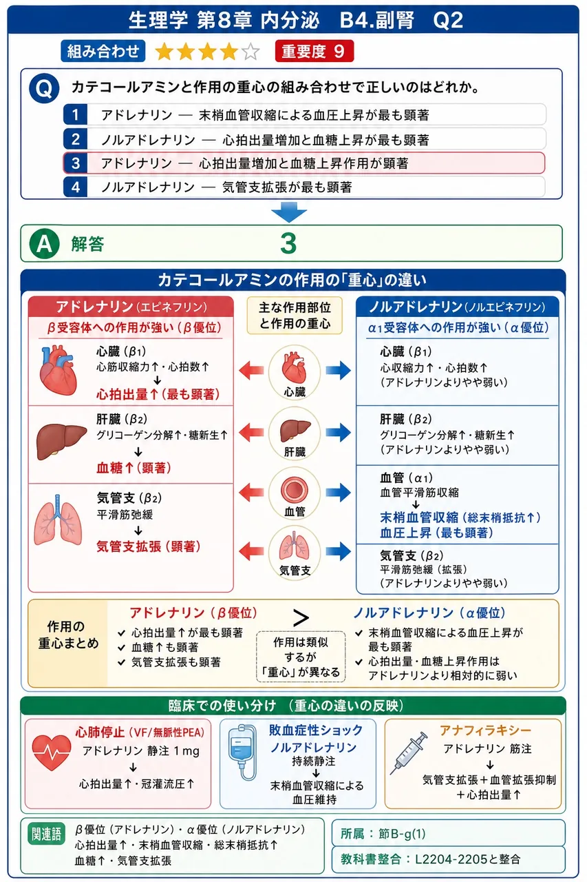 カテコールアミンと作用の重心の組み合わせで正しいのはどれか。 解説図