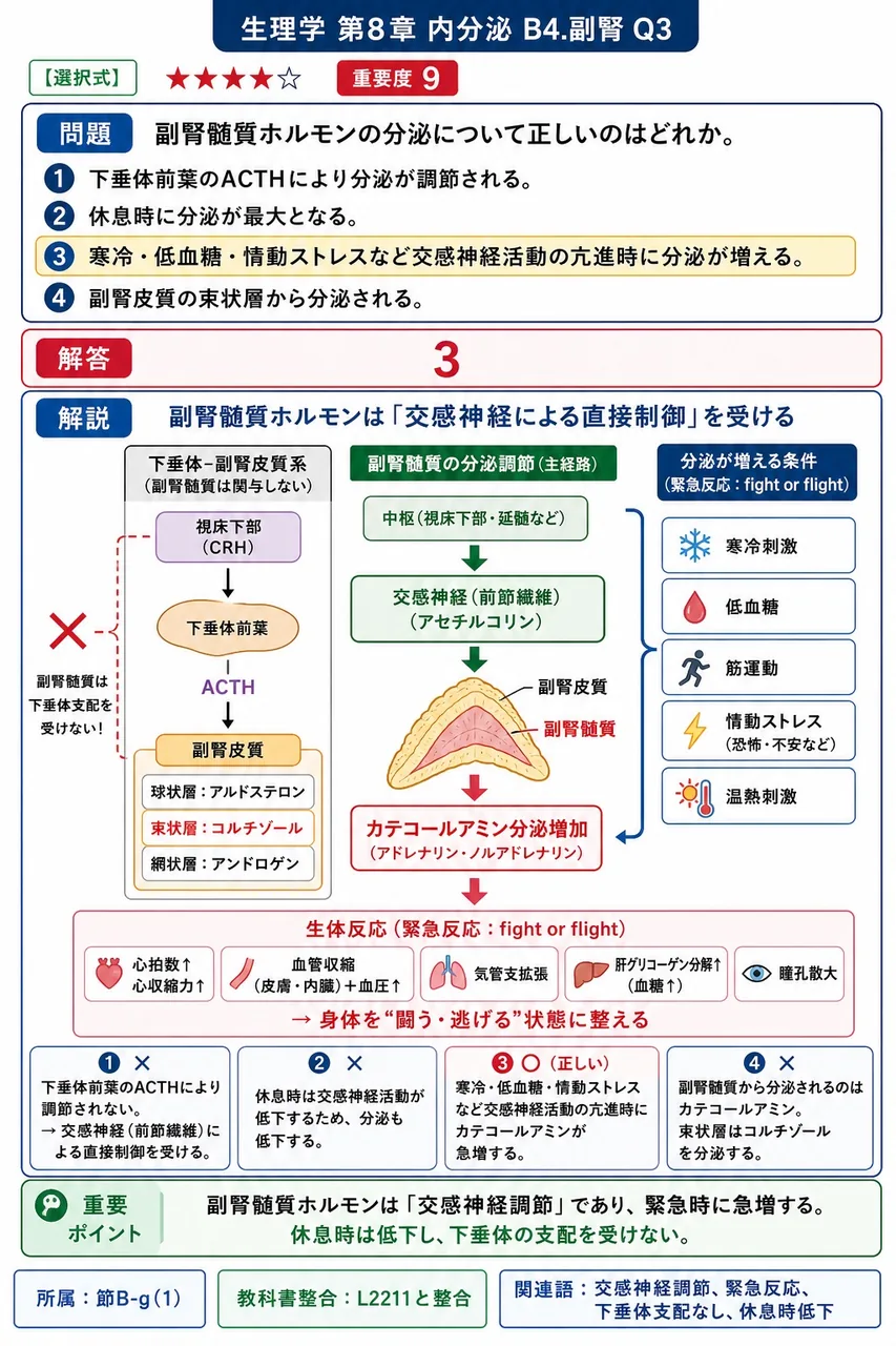 副腎髄質ホルモンの分泌について正しいのはどれか。 解説図