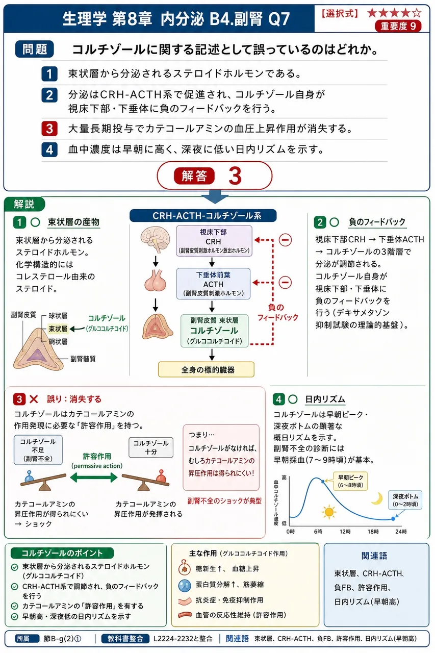 コルチゾールに関する記述として誤っているのはどれか。 解説図