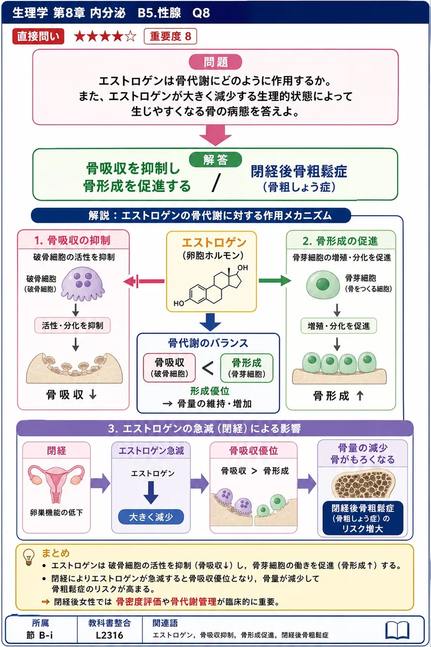エストロゲンは骨代謝にどのように作用するか。また、エストロゲンが大きく減少する生理的状態によって生じやすくなる骨の病態を答えよ。 解説図