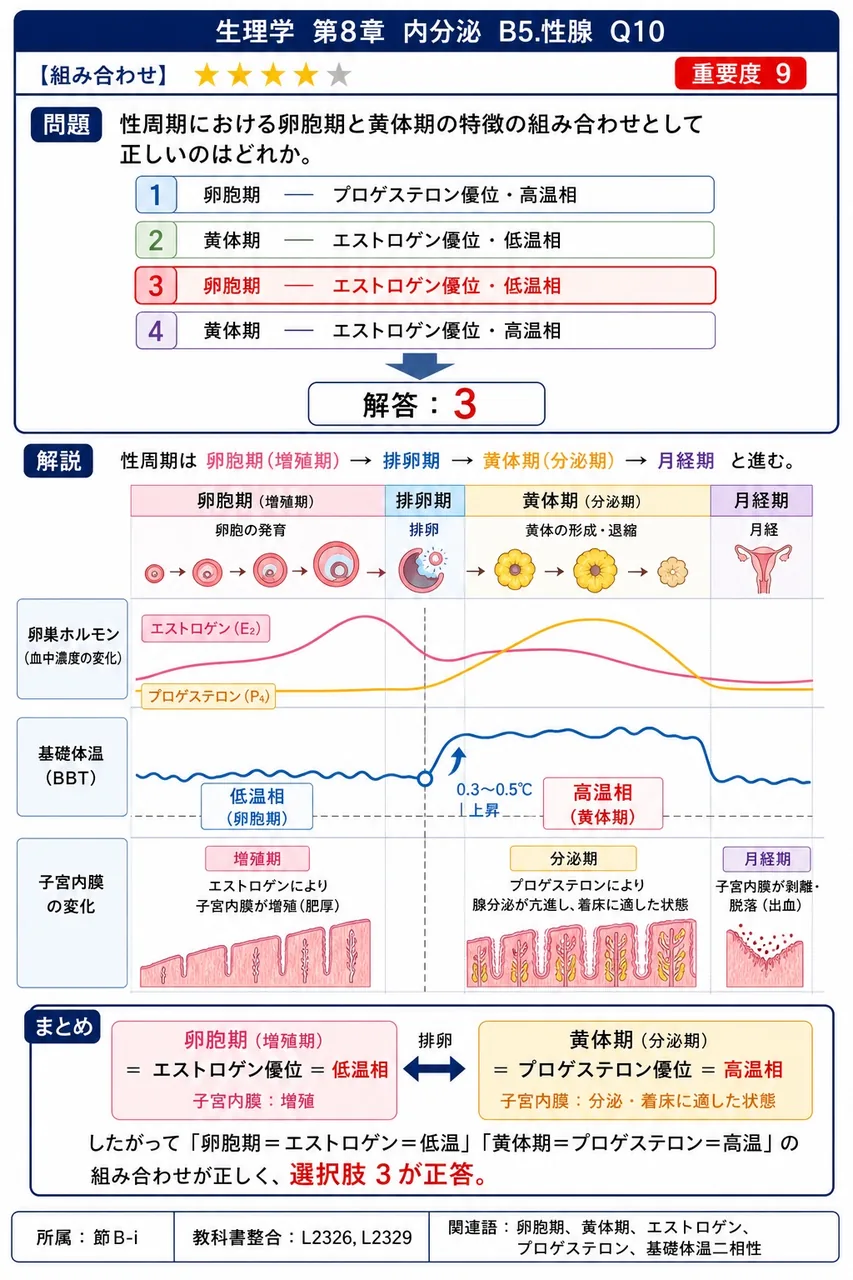 性周期における卵胞期と黄体期の特徴の組み合わせとして正しいのはどれか。 解説図