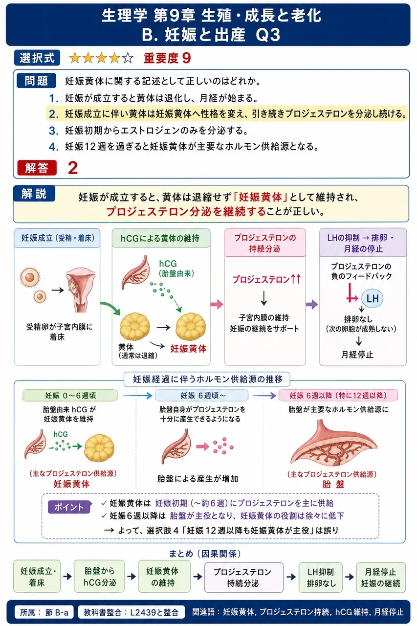 妊娠黄体に関する記述として正しいのはどれか。 解説図