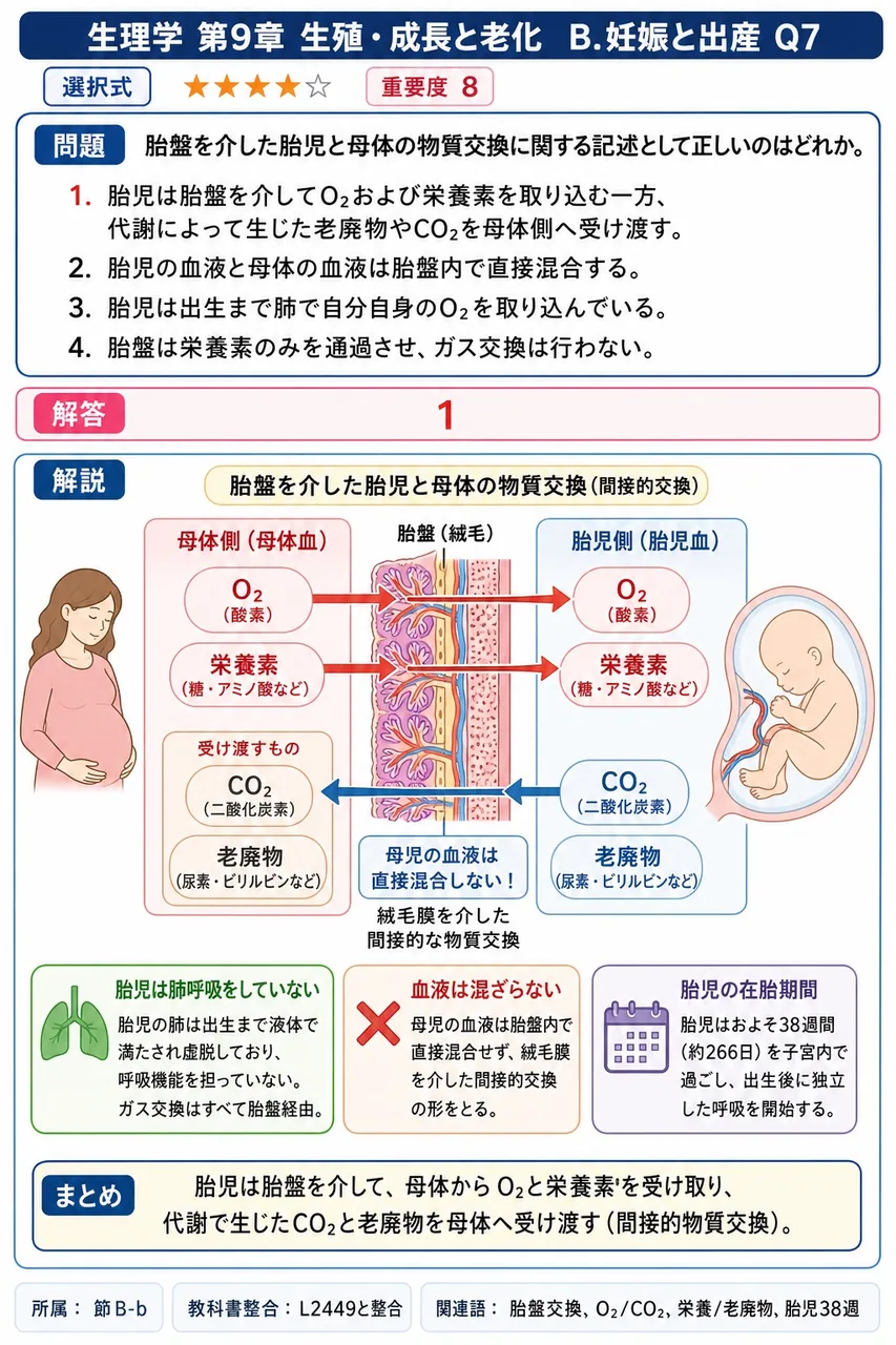 胎盤を介した胎児と母体の物質交換に関する記述として正しいのはどれか。 解説図