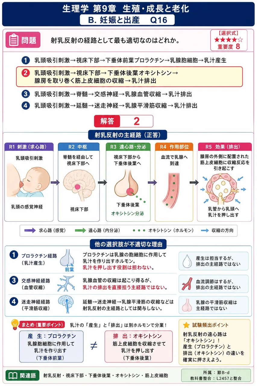 射乳反射の経路として最も適切なのはどれか。 解説図