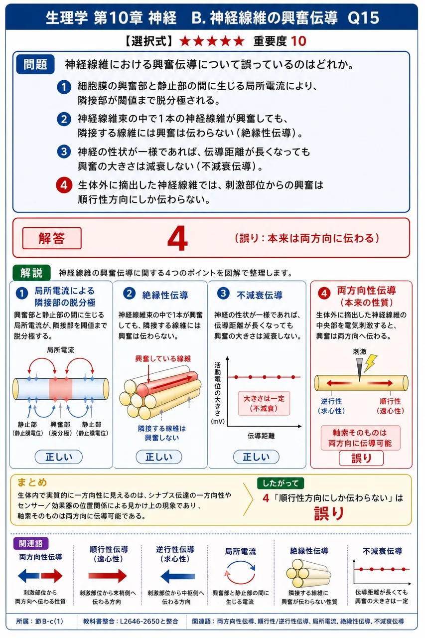 神経線維における興奮伝導について誤っているのはどれか。 解説図