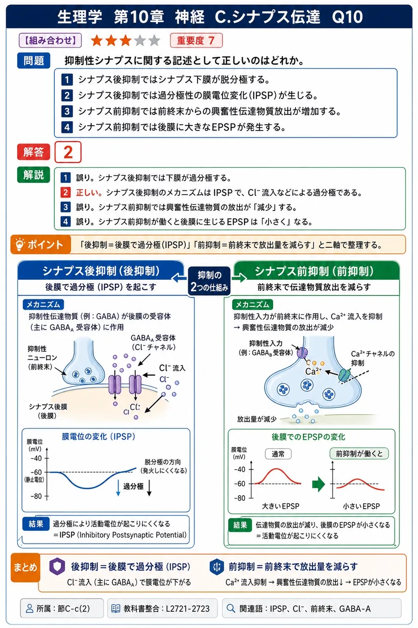 抑制性シナプスに関する記述として正しいのはどれか。 解説図