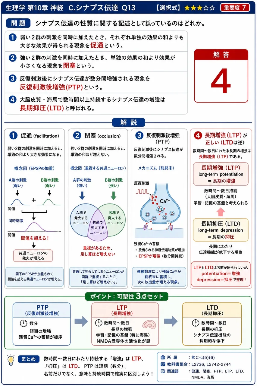 シナプス伝達の性質に関する記述として誤っているのはどれか。 解説図