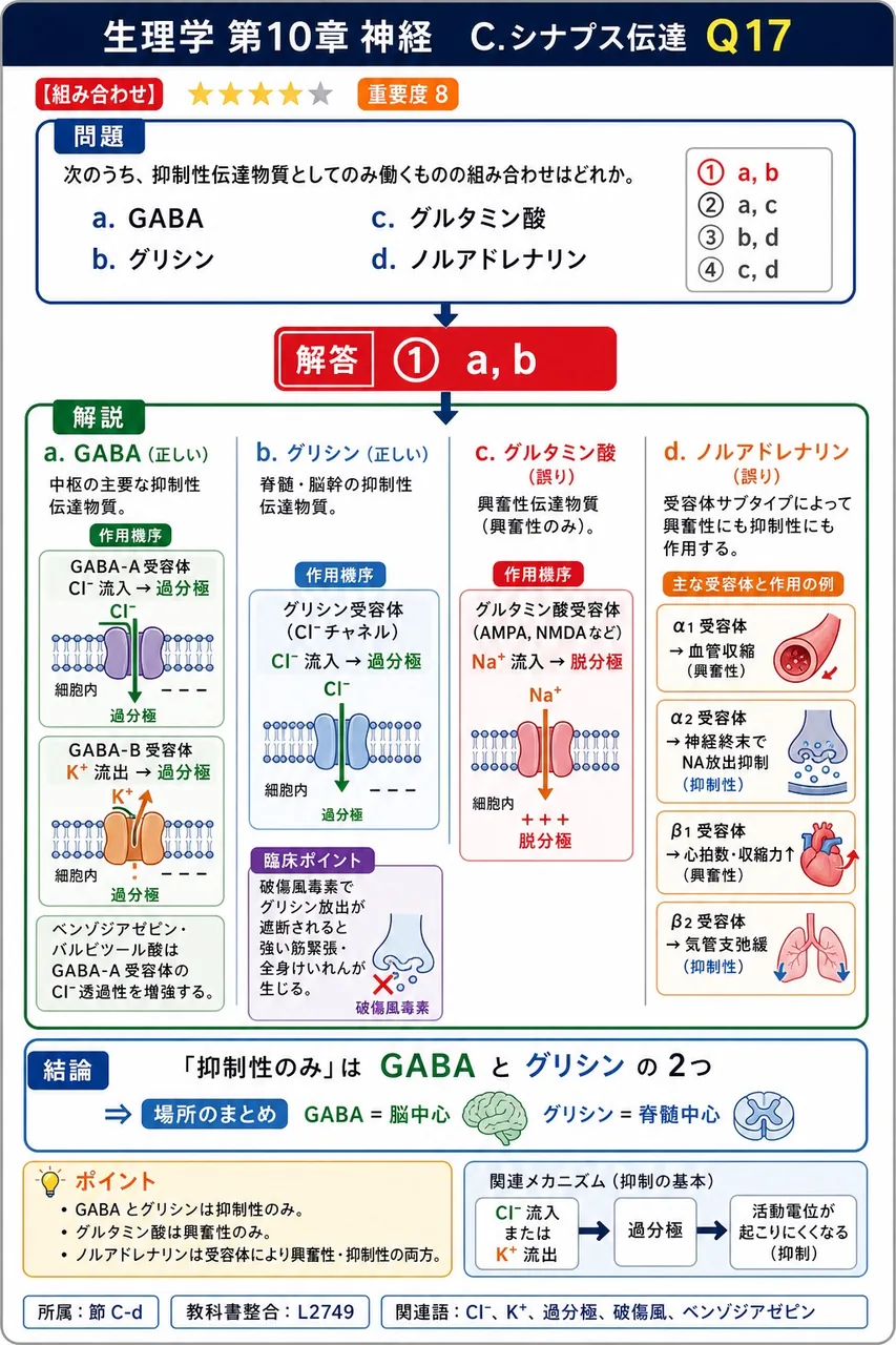 次のうち、抑制性伝達物質としてのみ働くものの組み合わせはどれか。 a. GABA b. グリシン c. グルタミン酸 d. ノルアドレナリン 解説図