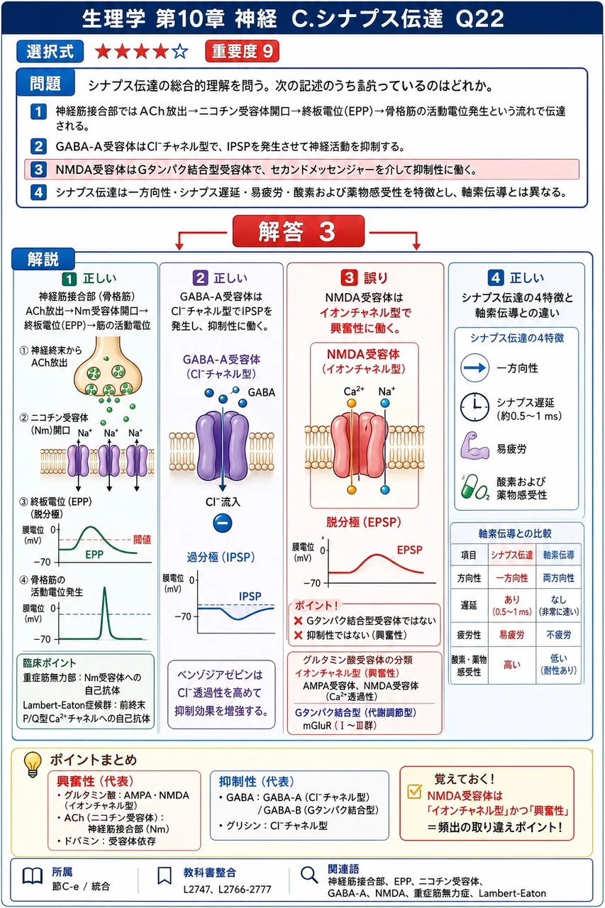 シナプス伝達の総合的理解を問う。次の記述のうち誤っているのはどれか。 解説図