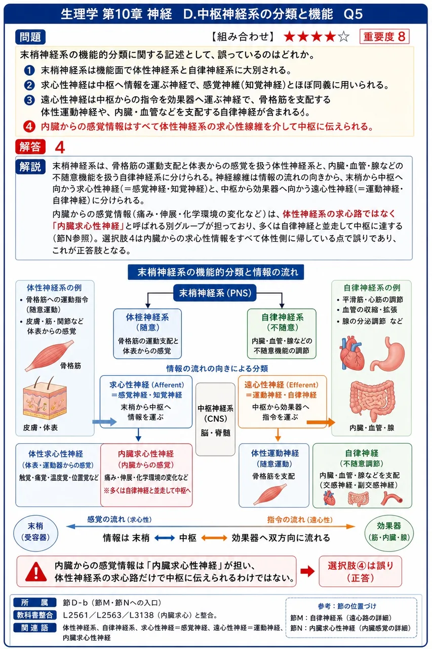 末梢神経系の機能的分類に関する記述として、誤っているのはどれか。 解説図