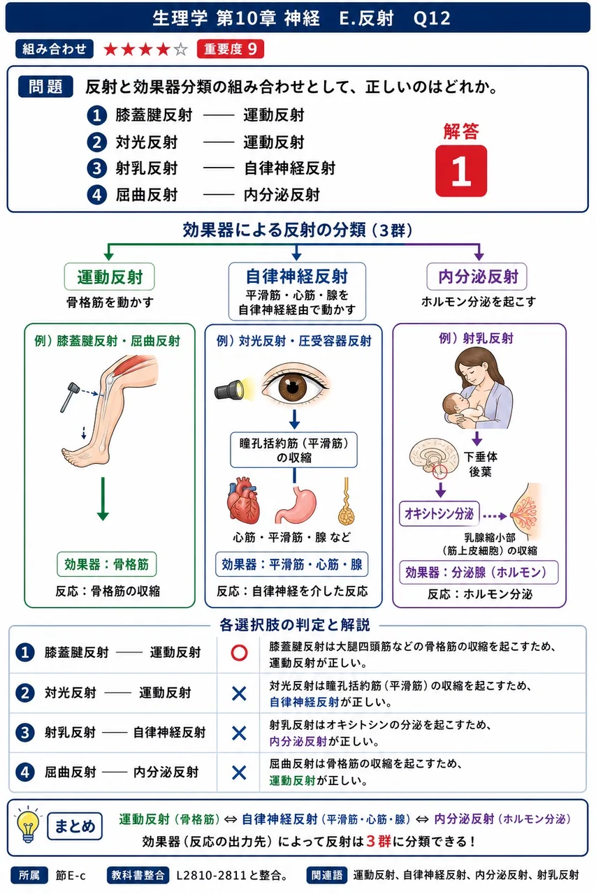反射と効果器分類の組み合わせとして、正しいのはどれか。 解説図