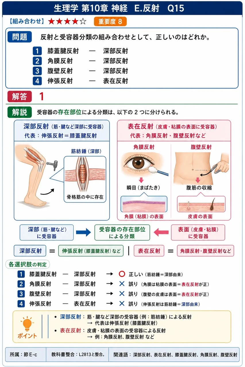 反射と受容器分類の組み合わせとして、正しいのはどれか。 解説図