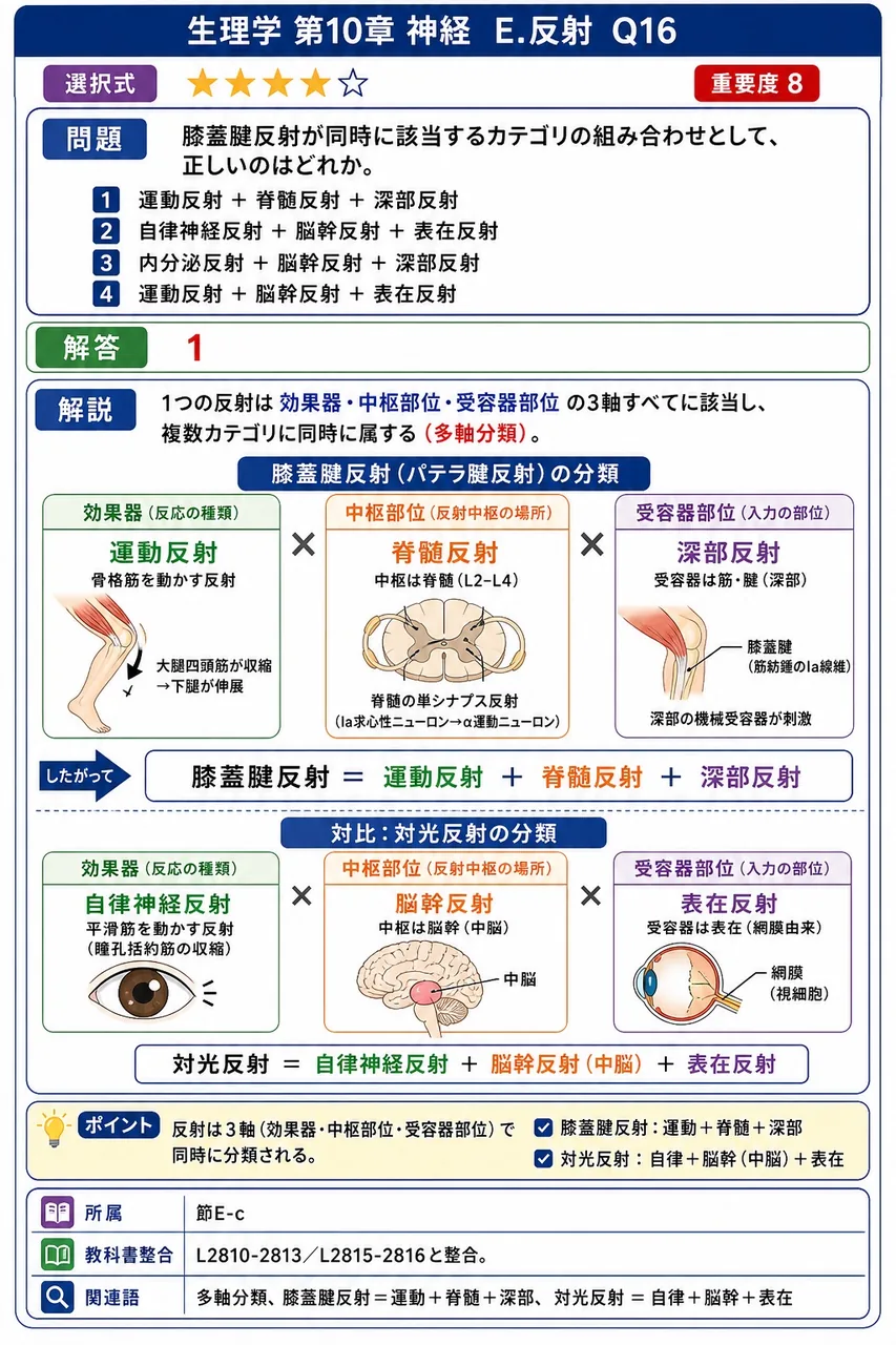 膝蓋腱反射が同時に該当するカテゴリの組み合わせとして、正しいのはどれか。 解説図