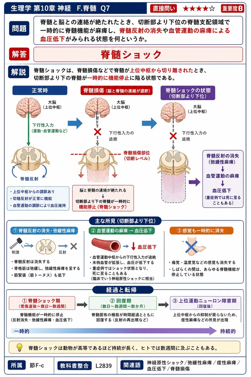 脊髄と脳との連絡が絶たれたとき、切断部より下位の脊髄支配領域で一時的に脊髄機能が麻痺し、脊髄反射の消失や血管運動の麻痺による血圧低下がみられる状態を何というか。 解説図