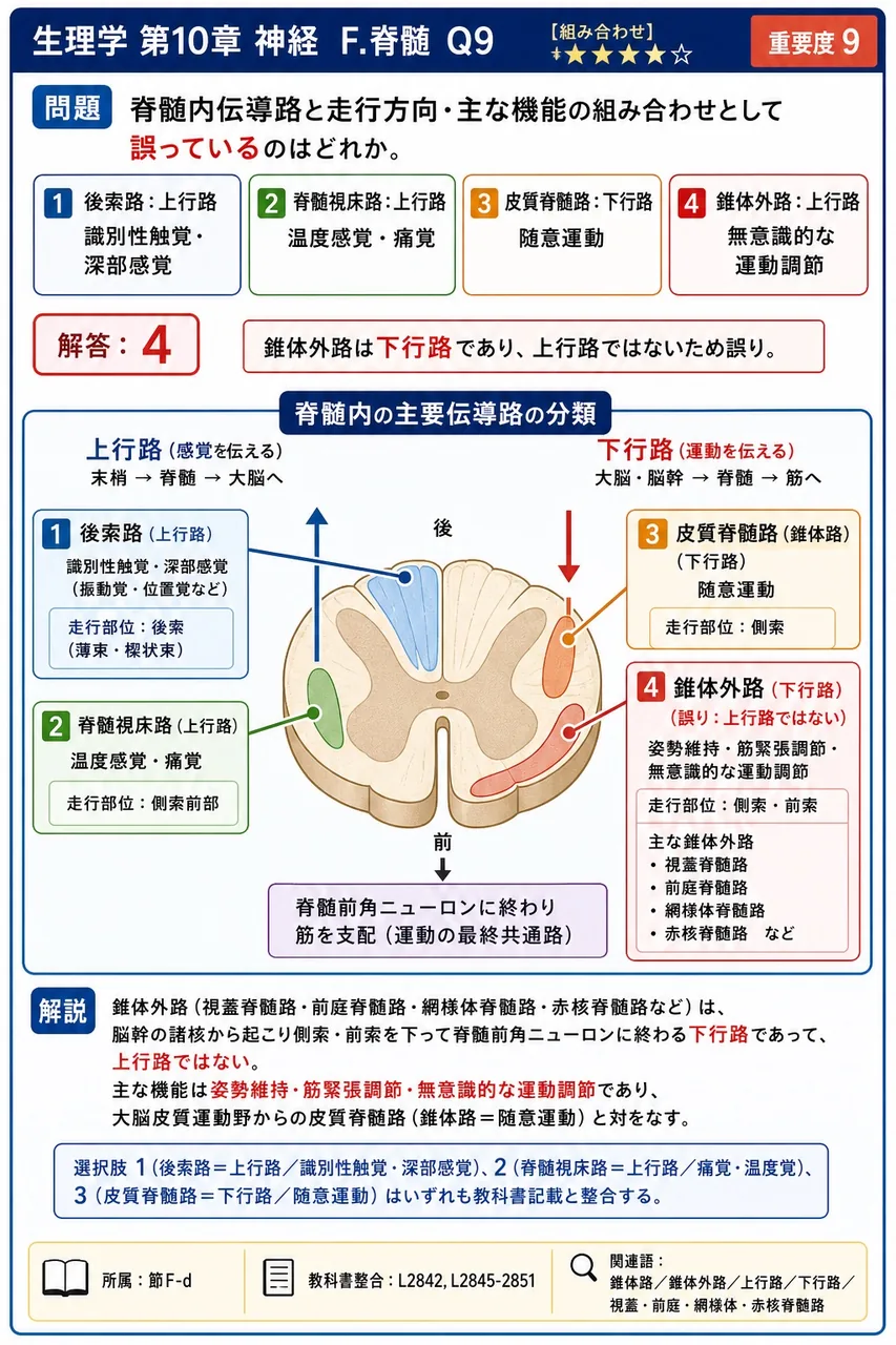 脊髄内伝導路と走行方向・主な機能の組み合わせとして誤っているのはどれか。 解説図