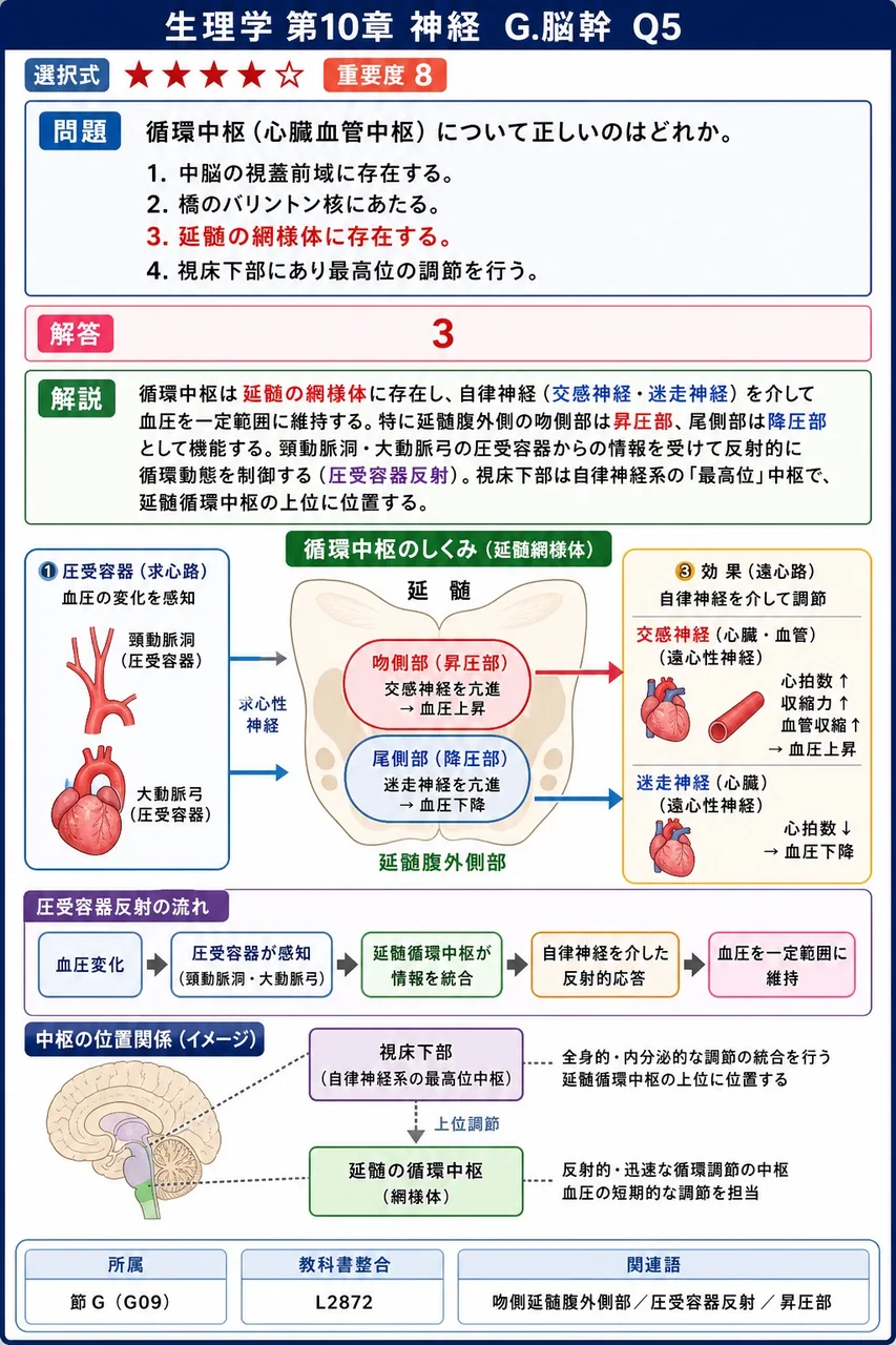 循環中枢（心臓血管中枢）について正しいのはどれか。 解説図