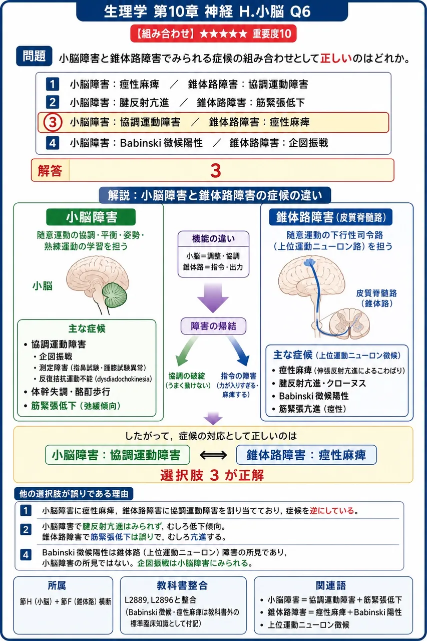 小脳障害と錐体路障害でみられる症候の組み合わせとして**正しい**のはどれか。 解説図