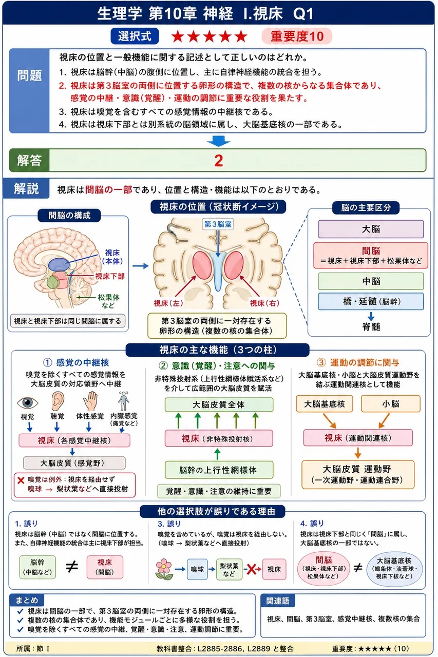 視床の位置と一般機能に関する記述として正しいのはどれか。 解説図