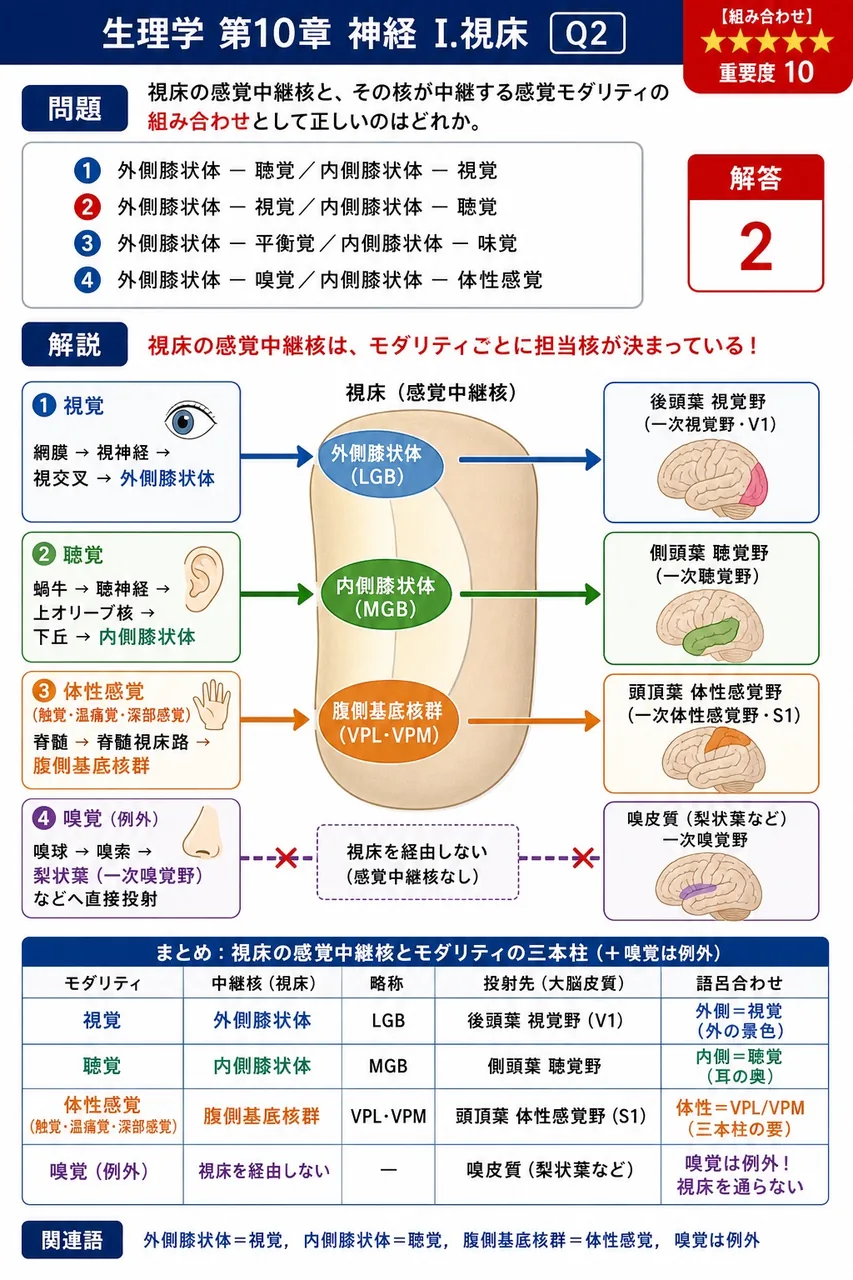視床の感覚中継核と、その核が中継する感覚モダリティの組み合わせとして正しいのはどれか。 解説図