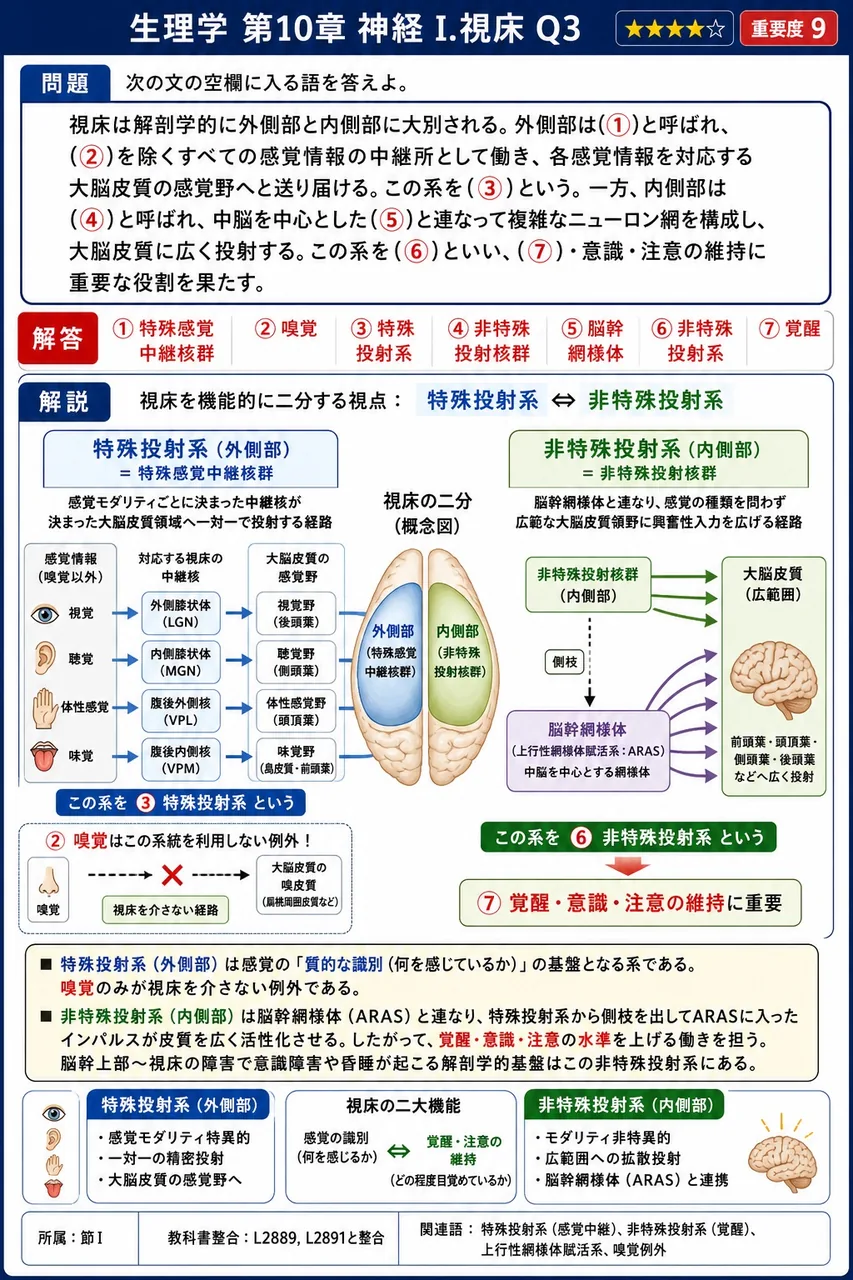 次の文の空欄に入る語を答えよ。 視床は解剖学的に外側部と内側部に大別される。外側部は(①)と呼ばれ、(②)を除くすべての感覚情報の中継所として働き、各感覚情報を対応する大脳皮質の感覚野へと送り届ける。この系を(③)という。一方、内側部は(④)と呼ばれ、中脳を中心とした(⑤)と連なって複雑なニューロン網を構成し、大脳皮質に広く投射する。この系を(⑥)といい、(⑦)・意識・注意の維持に重要な役割を果たす。 解説図