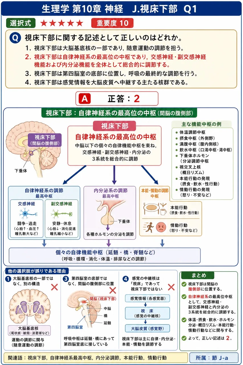 視床下部に関する記述として正しいのはどれか。 解説図