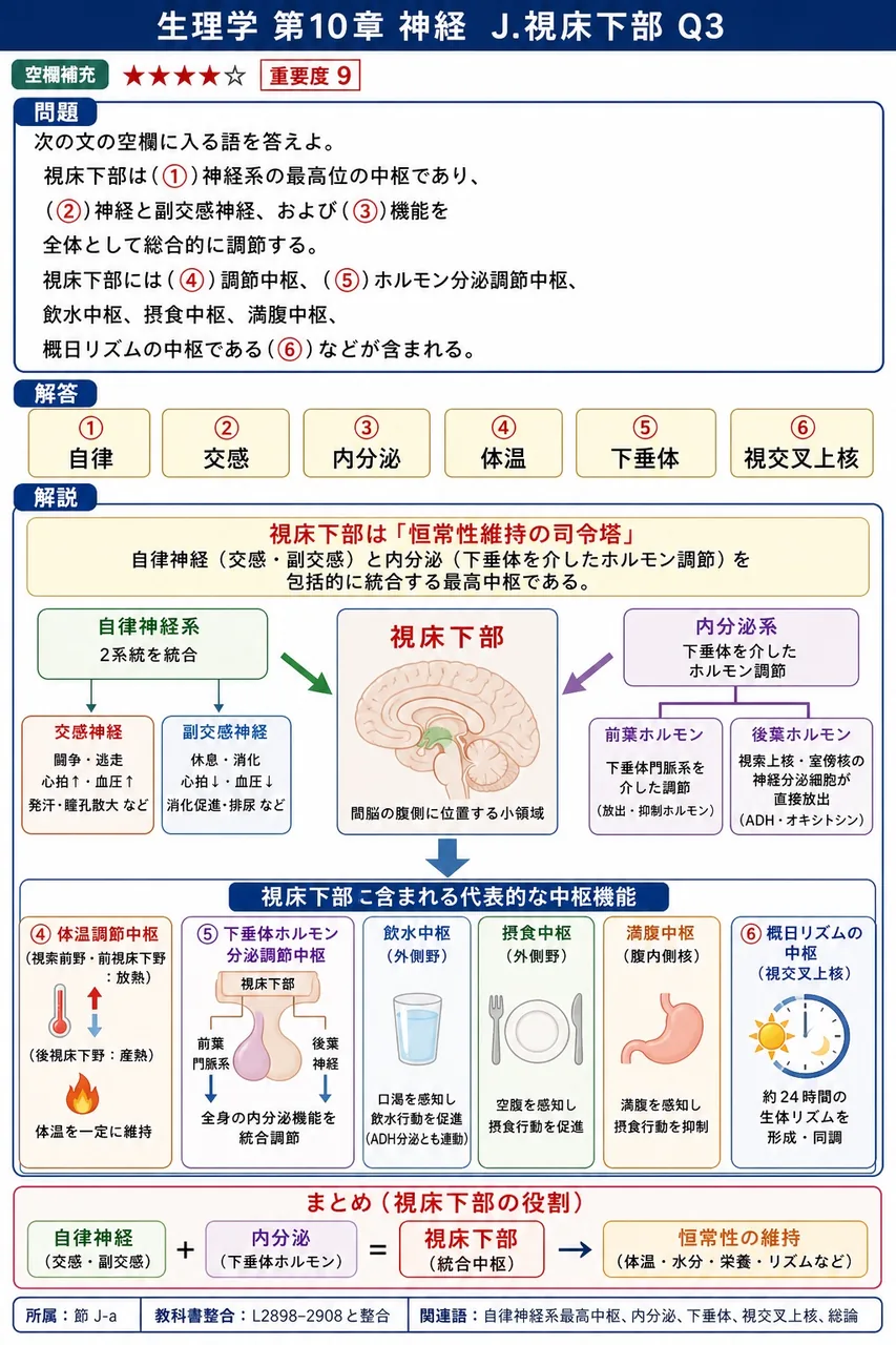 次の文の空欄に入る語を答えよ。 視床下部は(①)神経系の最高位の中枢であり、(②)神経と副交感神経、および(③)機能を全体として総合的に調節する。視床下部には(④)調節中枢、(⑤)ホルモン分泌調節中枢、飲水中枢、摂食中枢、満腹中枢、概日リズムの中枢である(⑥)などが含まれる。 解説図