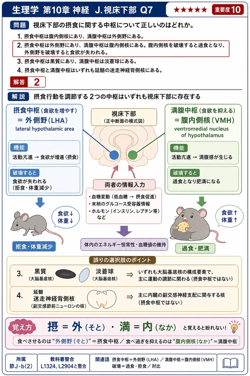 視床下部の摂食に関する中枢について正しいのはどれか。 解説図