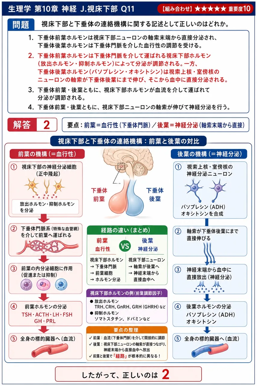 視床下部と下垂体の連絡機構に関する記述として正しいのはどれか。 解説図