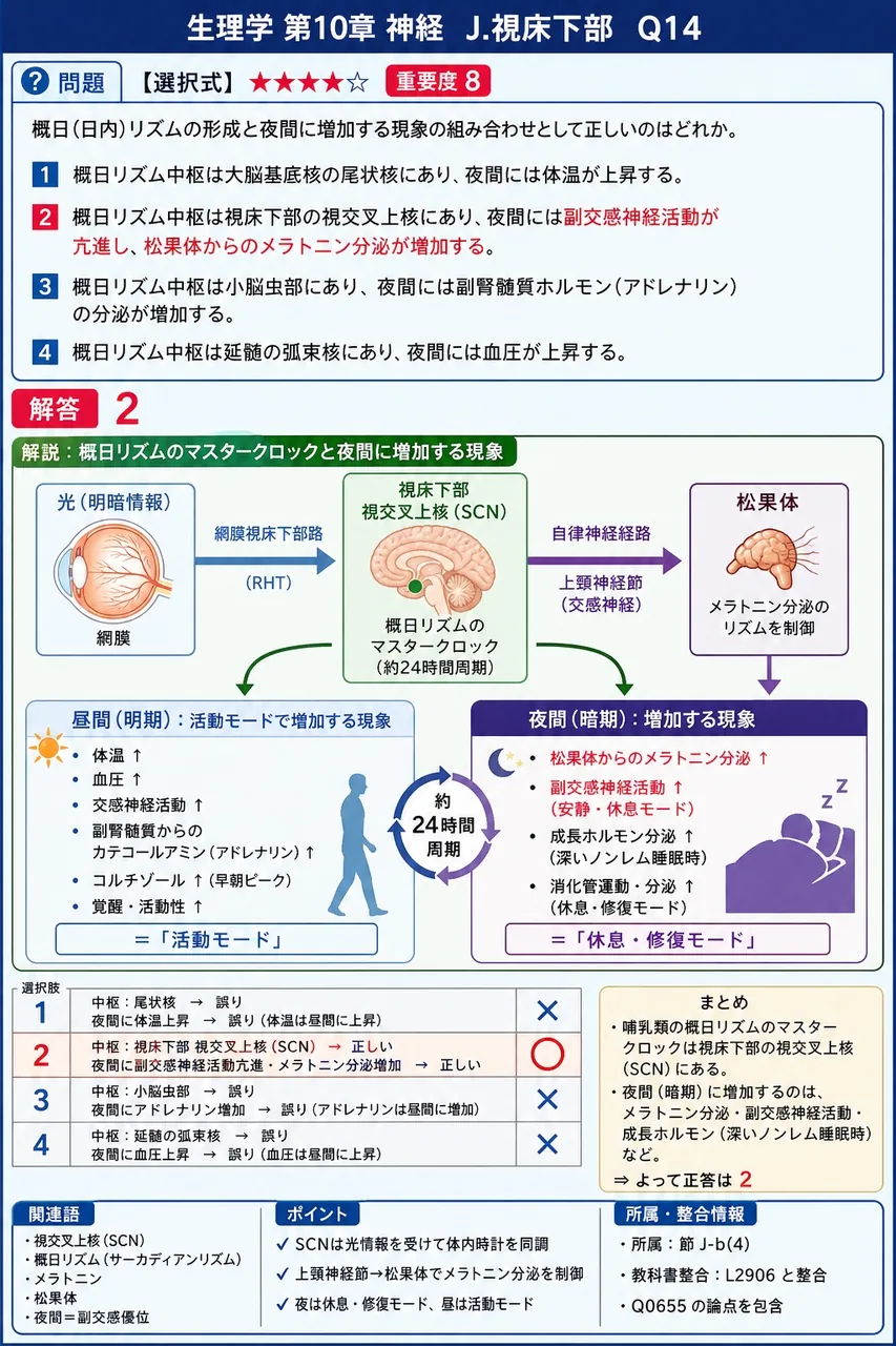 概日(日内)リズムの形成と夜間に増加する現象の組み合わせとして正しいのはどれか。 解説図