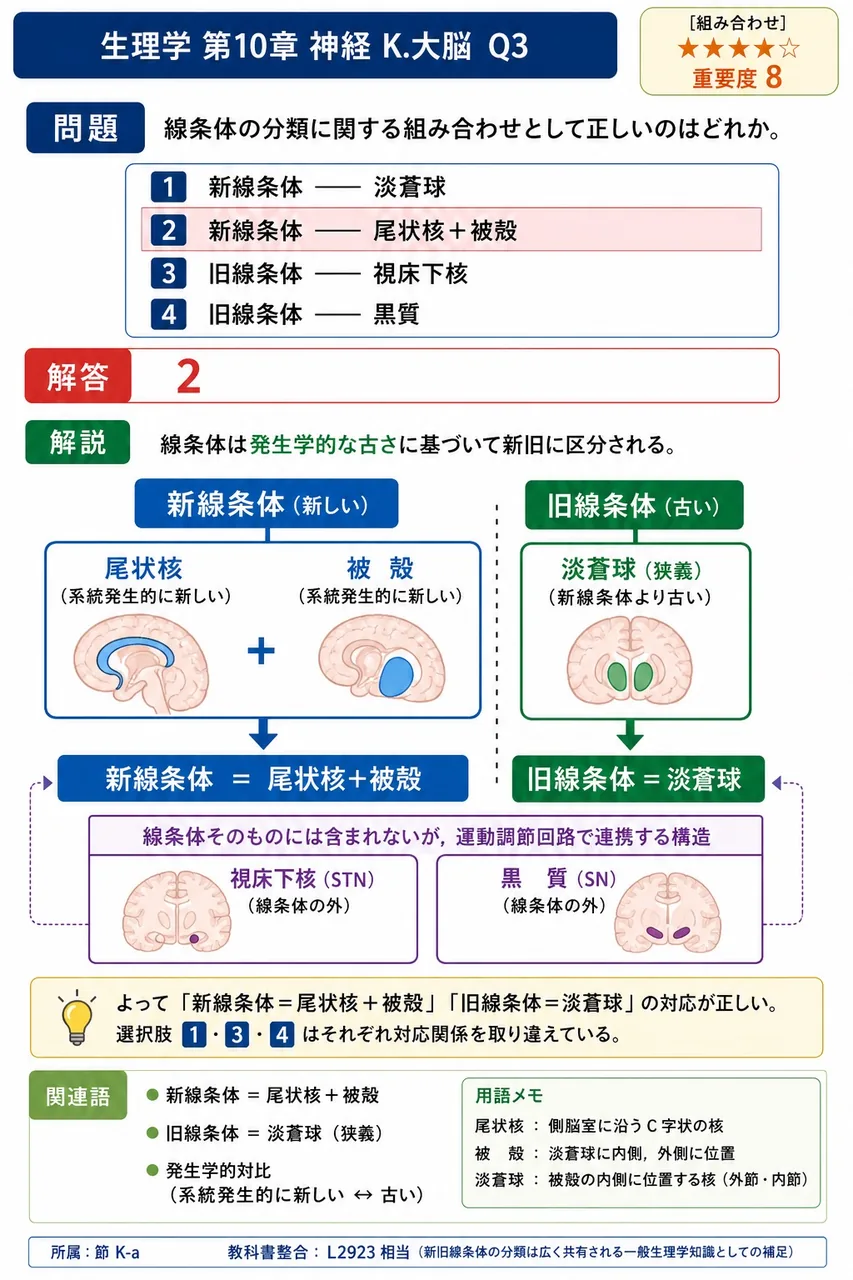 線条体の分類に関する組み合わせとして正しいのはどれか。 解説図